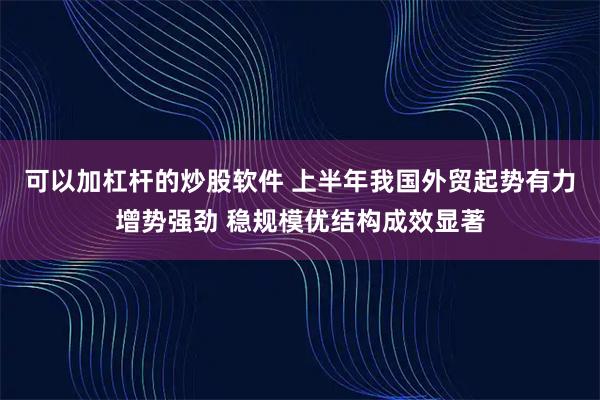 可以加杠杆的炒股软件 上半年我国外贸起势有力增势强劲 稳规模优结构成效显著